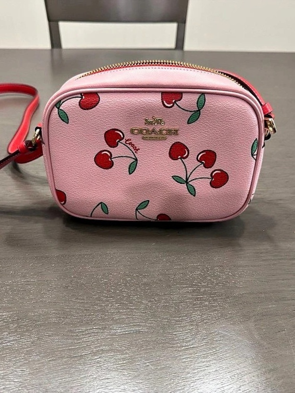 Coach Mini Jamie Camera Bag With Cherry Print in Pink & Red